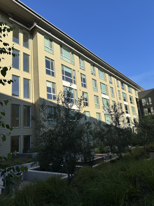 Project Image 10